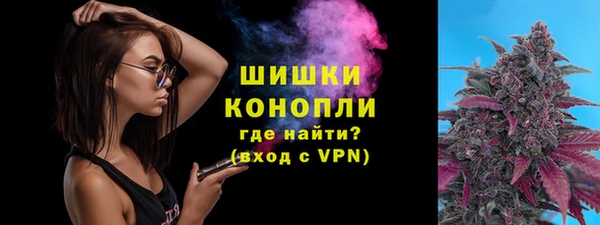 прущие грибы Белоозёрский