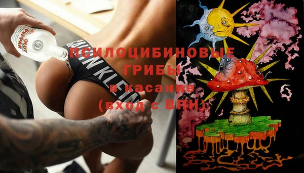 гидра Белокуриха