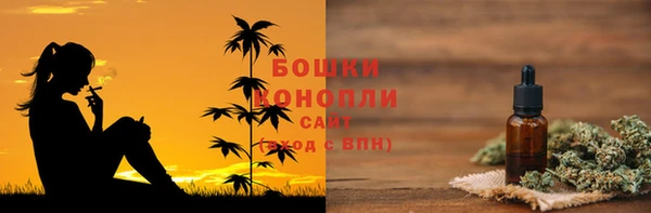 прущие грибы Белоозёрский