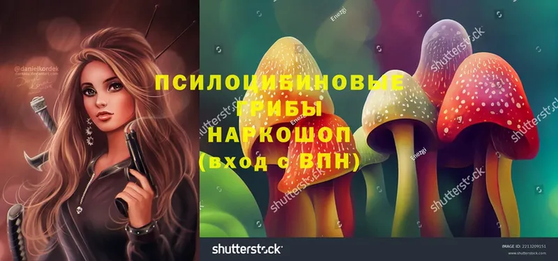 цены наркотик  Волгореченск  Псилоцибиновые грибы MAGIC MUSHROOMS 