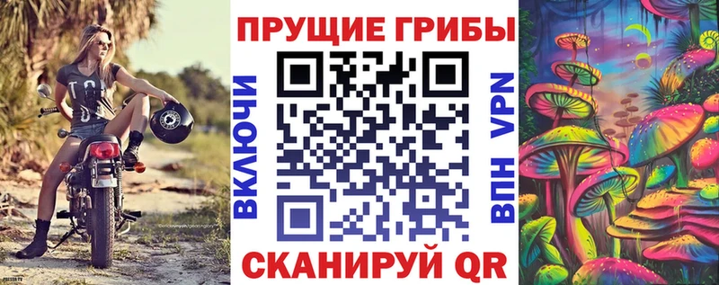 Галлюциногенные грибы Psilocybe  дарнет шоп  Волгореченск 